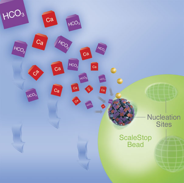 how filter works to stop certain molecules