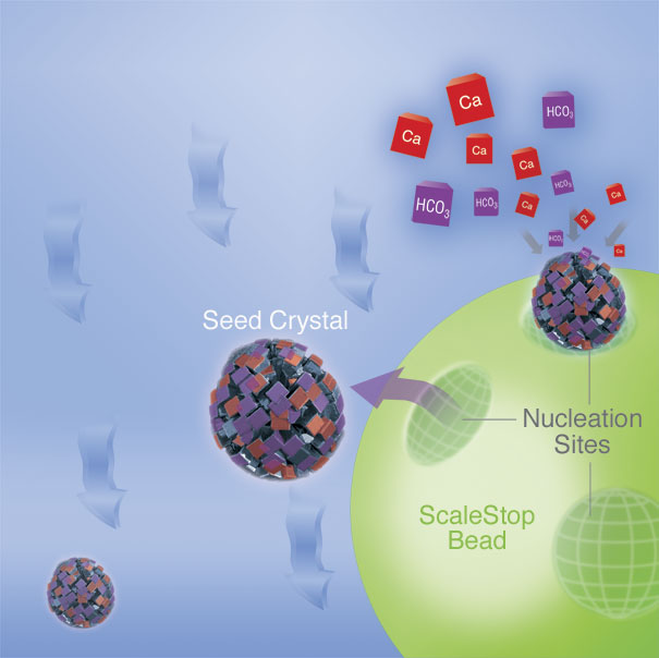 how filter works to stop certain molecules