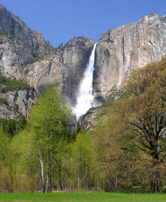 Whole-House-Water-Filtration-for-Fresno &-Central-Valley-Homes-vertical.jpg.jpeg
