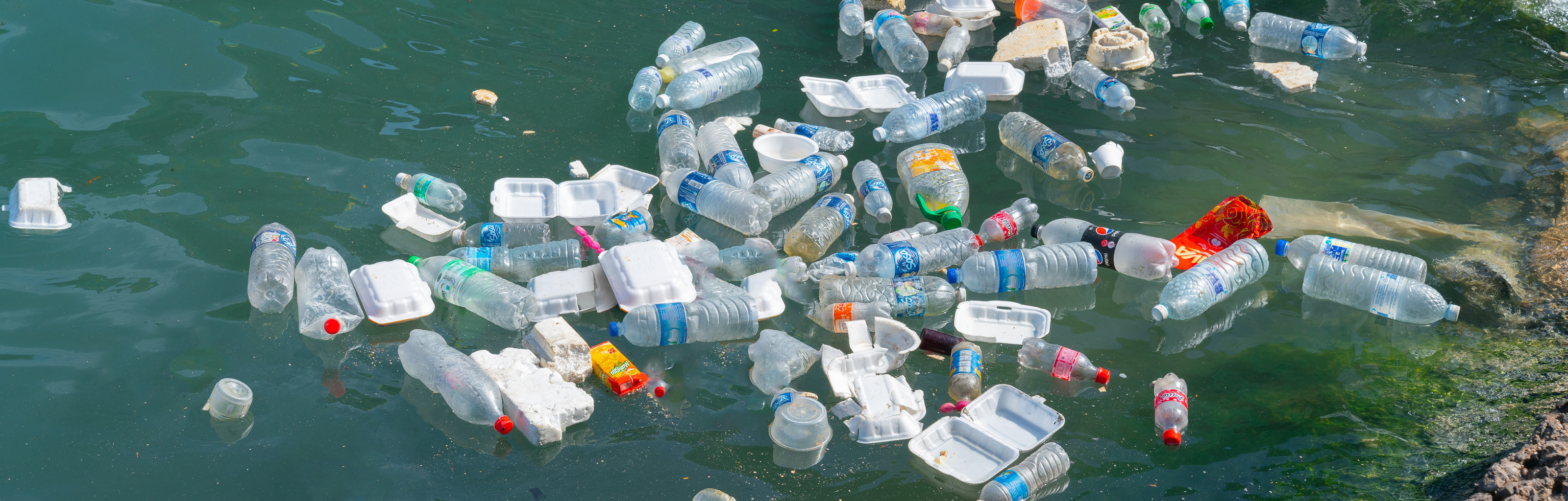 Stop Using Plastic Water Bottles