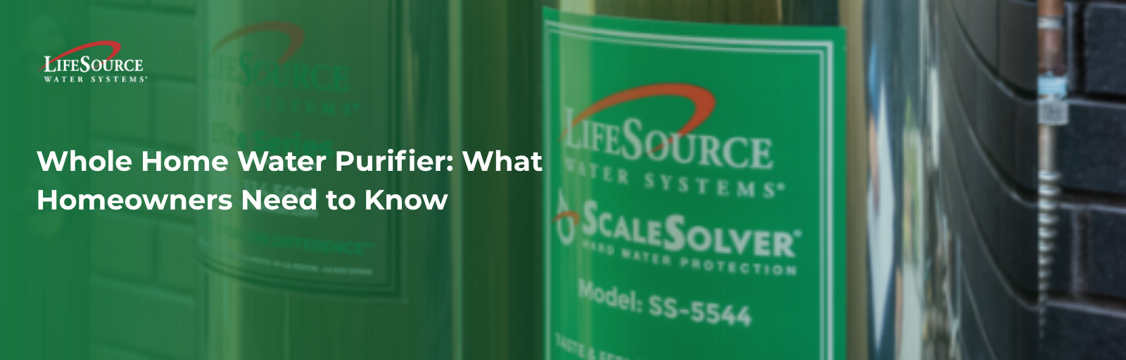 Whole Home Water Purifier: What Homeowners Need to Know