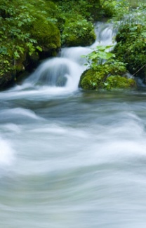 Why Are Water Softeners Being Banned?