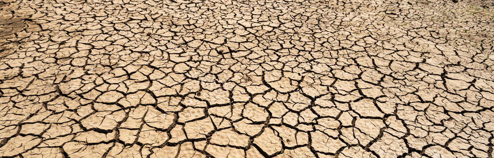 The Drought; Facts, Myths and Mysteries