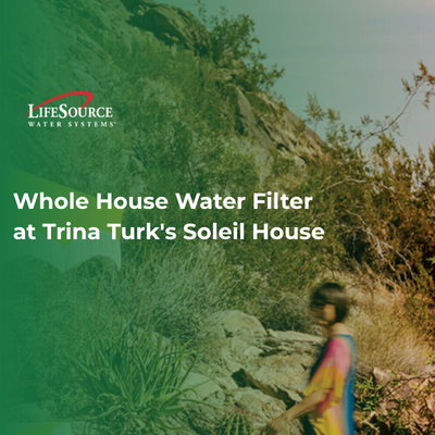 Preview image for article: Whole House Water Filter at Trina Turk's Soleil House