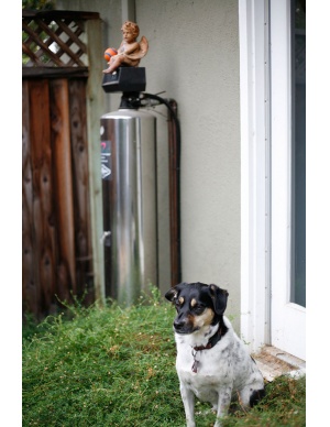 lifesource customer(s) with lifesource water tank