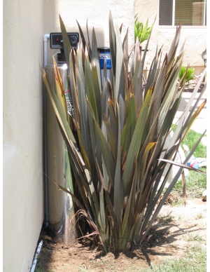 lifesource customer(s) with lifesource water tank