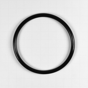 Blue & White Sediment Filter Housing O-Ring 1"